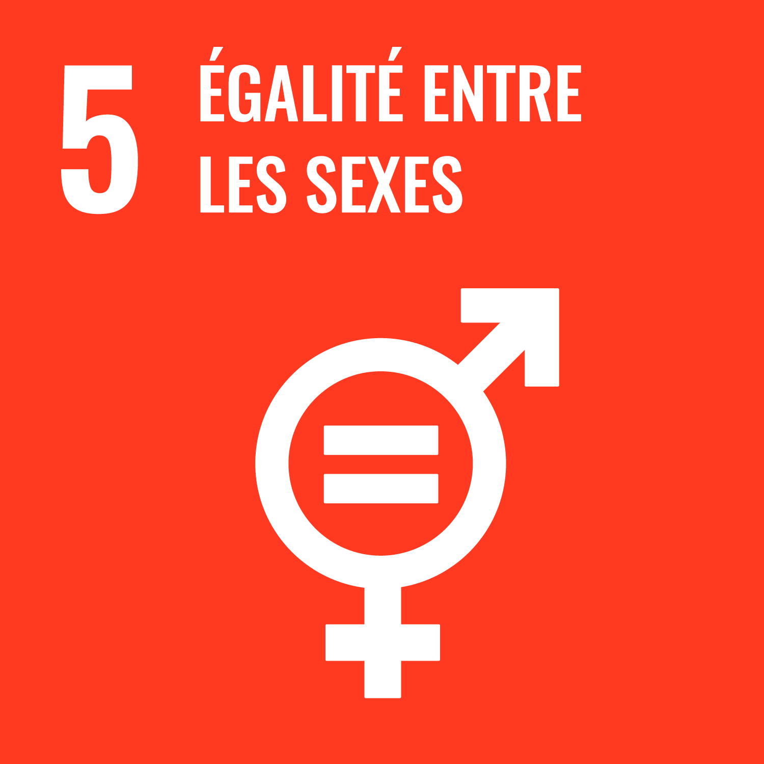 ODD 5 : Égalité entre les sexes