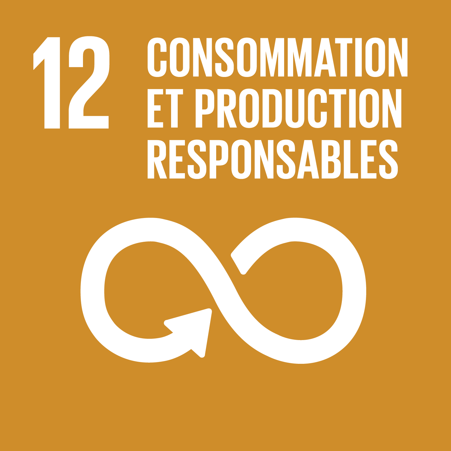 ODD 12 : Consommation et production responsables