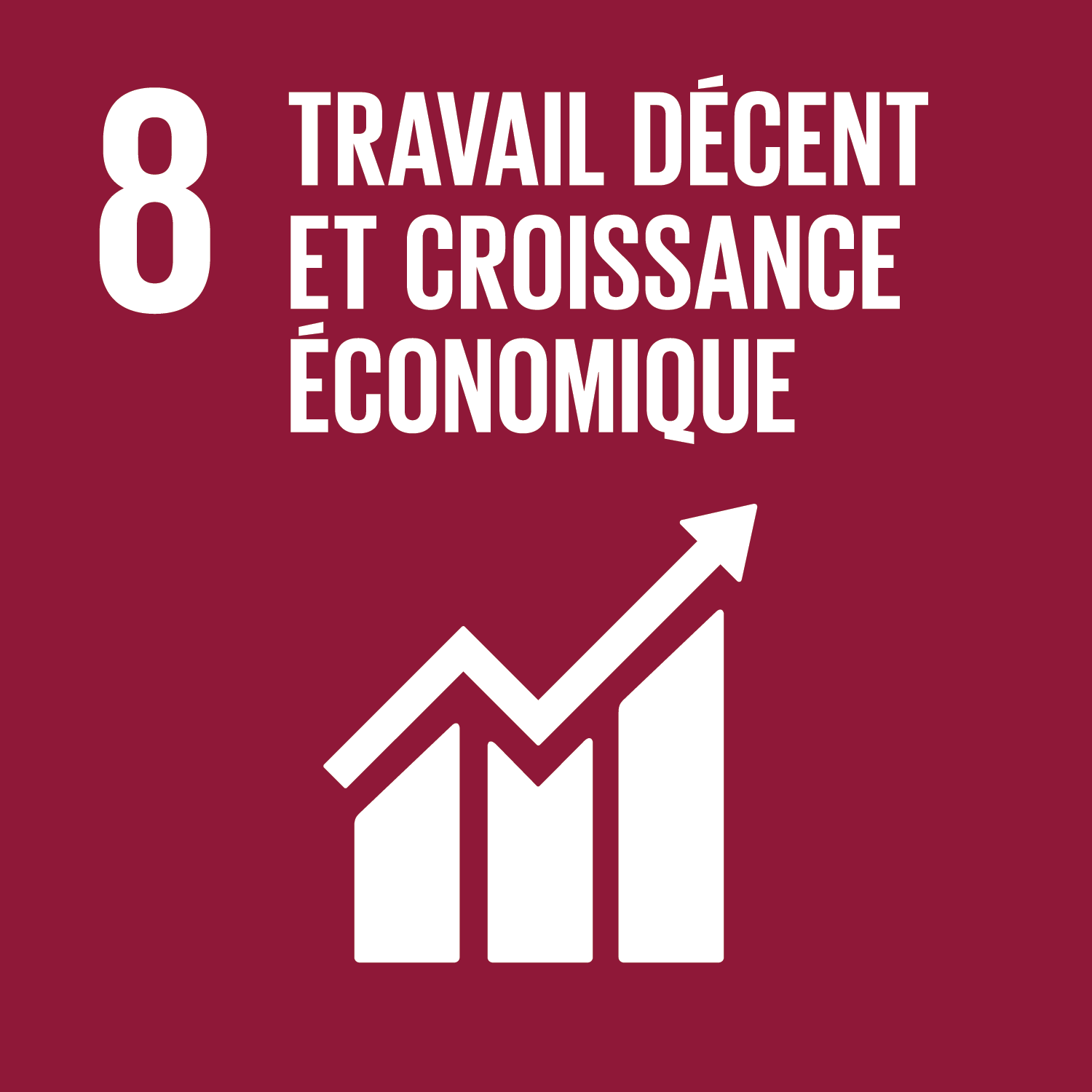 ODD 8 : Travail décent et croissance économique
